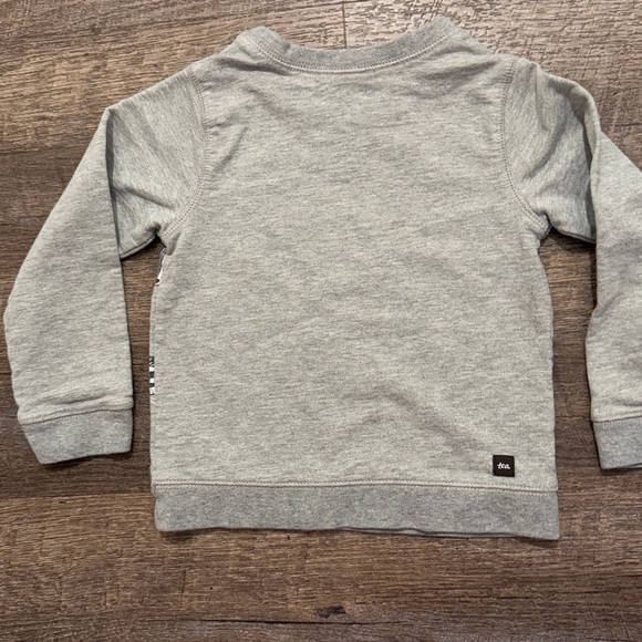 Tea Collection 100% Cotton Heather Grey Raccoon Graphic Pullover Sweatshirt - Picture 10 of 11